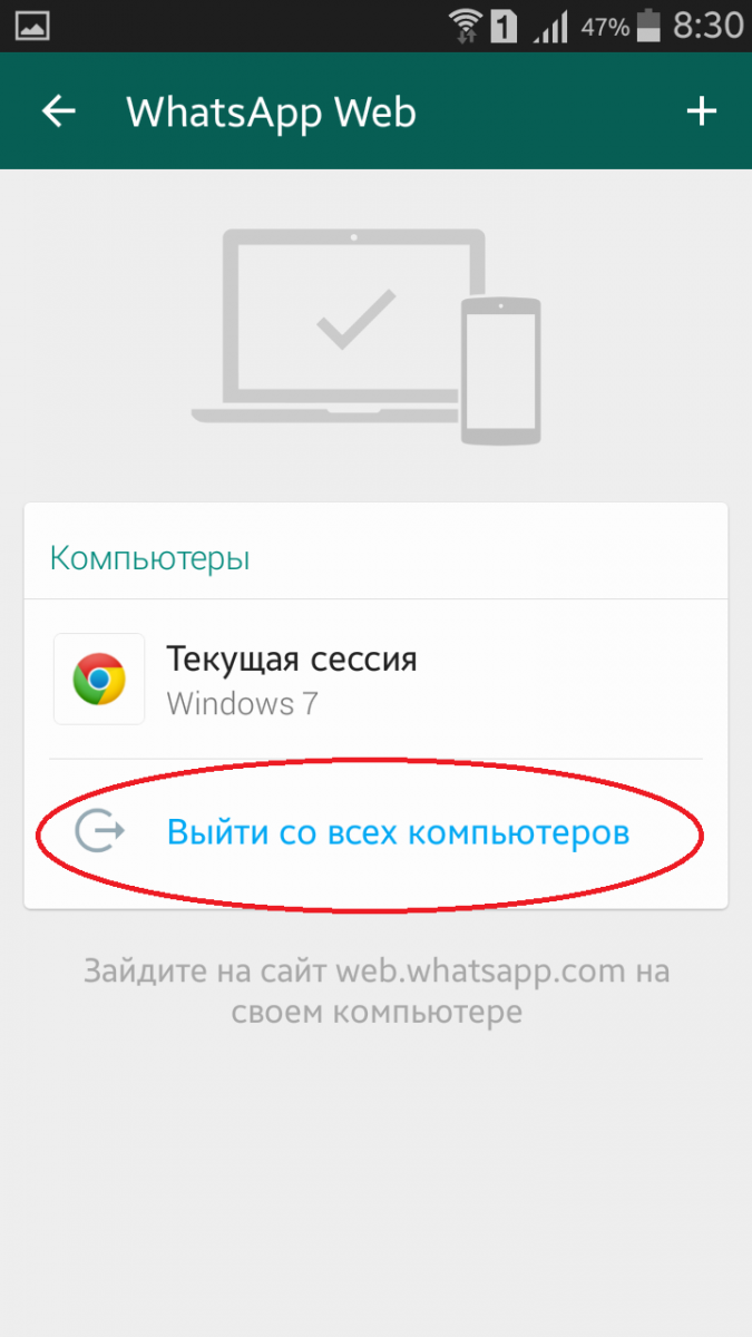Как пользоваться WhatsApp на компьютере